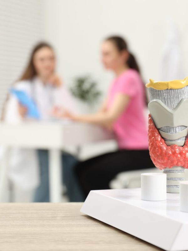 Endocrinologist examining patient at clinic, focus on model of thyroid gland and blood samples in test tubes
